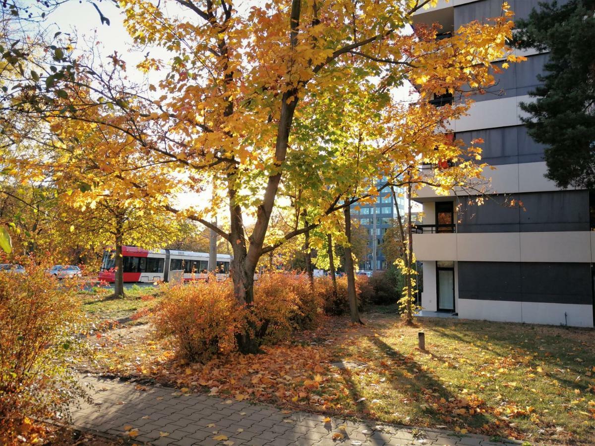 Central-Apt At Lake, Citycenter 5Min, Fair 18Min!!! Nürnberg Dış mekan fotoğraf
